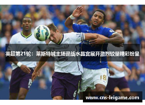 英超第21轮：莱斯特城主场迎战水晶宫展开激烈较量精彩纷呈