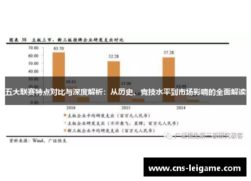 五大联赛特点对比与深度解析：从历史、竞技水平到市场影响的全面解读