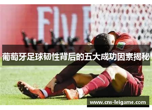 葡萄牙足球韧性背后的五大成功因素揭秘