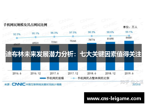 迪布林未来发展潜力分析:七大关键因素值得关注 迪布林未来发展潜力分析:七大关键因素值得关注